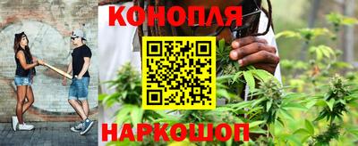 a pvp Будённовск