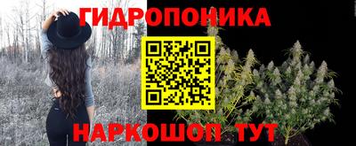 a pvp Будённовск