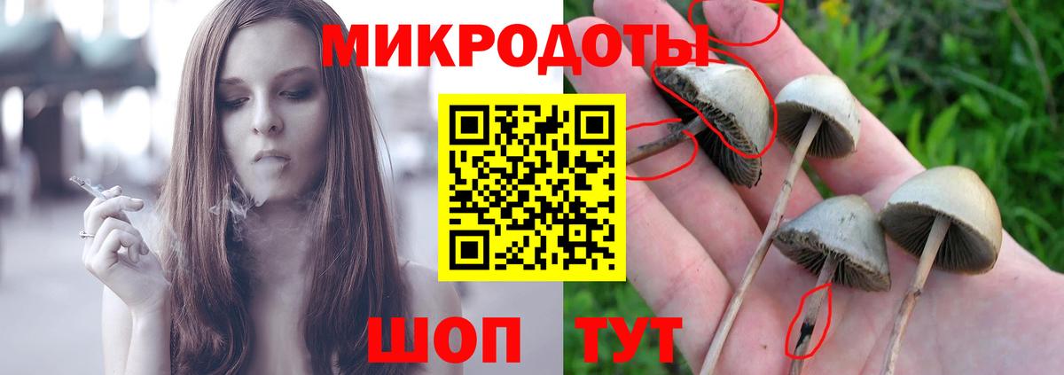 Галлюциногенные грибы ЛСД  Вход с VPN  Белгород  где купить наркотик  Псилоцибиновые грибы MAGIC MUSHROOMS 
